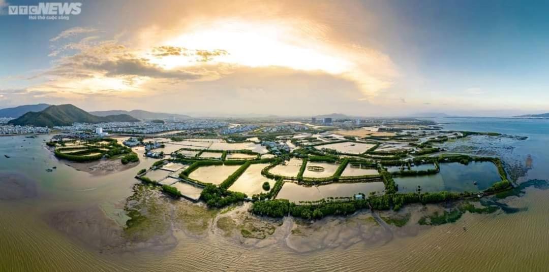 Nhatuishare Quy Nhon Luaran gambar